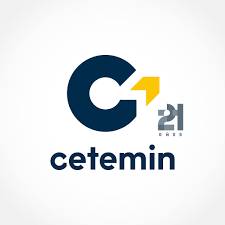 Logo de INSTITUTO CETEMIN