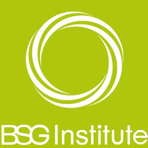 Logo de BSG INSTITUTE
