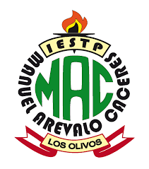 Enfermería Técnica