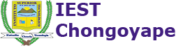 Logo de IEST CHONGOYAPE