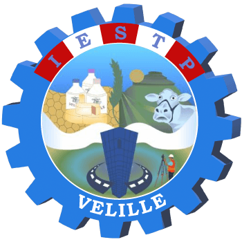 Logo de IESTP VELILLE