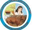 Logo de IESTP VIRGEN DEL ROSARIO
