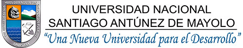 Logo de Universidad Nacional Santiago Antúnez de Mayolo